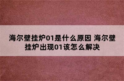 海尔壁挂炉01是什么原因 海尔壁挂炉出现01该怎么解决